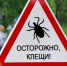 Готовимся к сезону активности клещей - Воткинский район